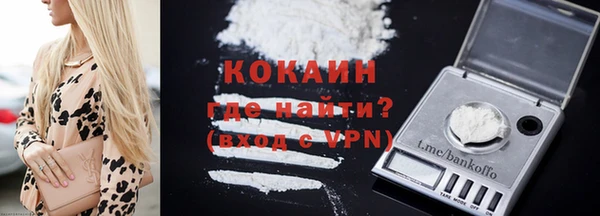 стаф Абинск