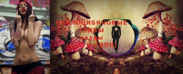 стаф Абинск