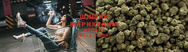 мяу мяу мука Рославль